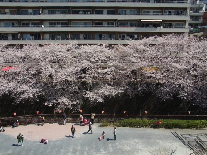 中目黒皮フ科形成外科のブログ